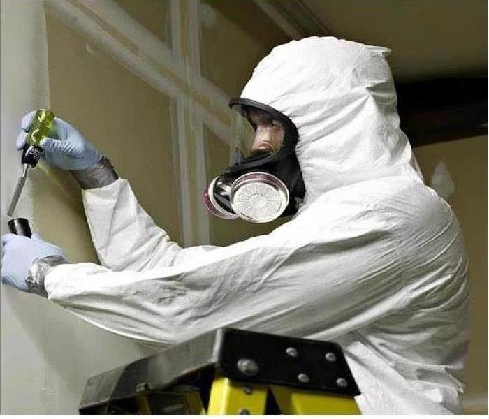 Servpro Staff Working on Mold on Walls